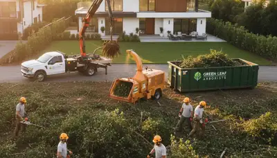 Professional shrub removal team clearing overgrown bushes in Clearwater, FL yard