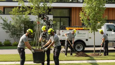 Arborists planting native trees in Clearwater FL for Chop Chop Tree professional tree service