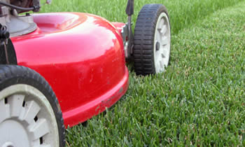 Lawn Care in Clearwater FL Lawn Care Services in Clearwater FL Quality Lawn Care in Clearwater FL